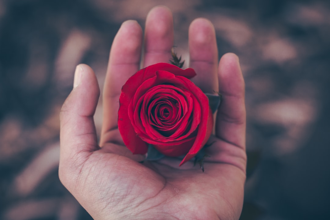 Photo Rose-shaped soaps