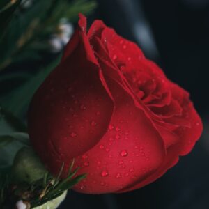 Photo Rose-shaped soaps