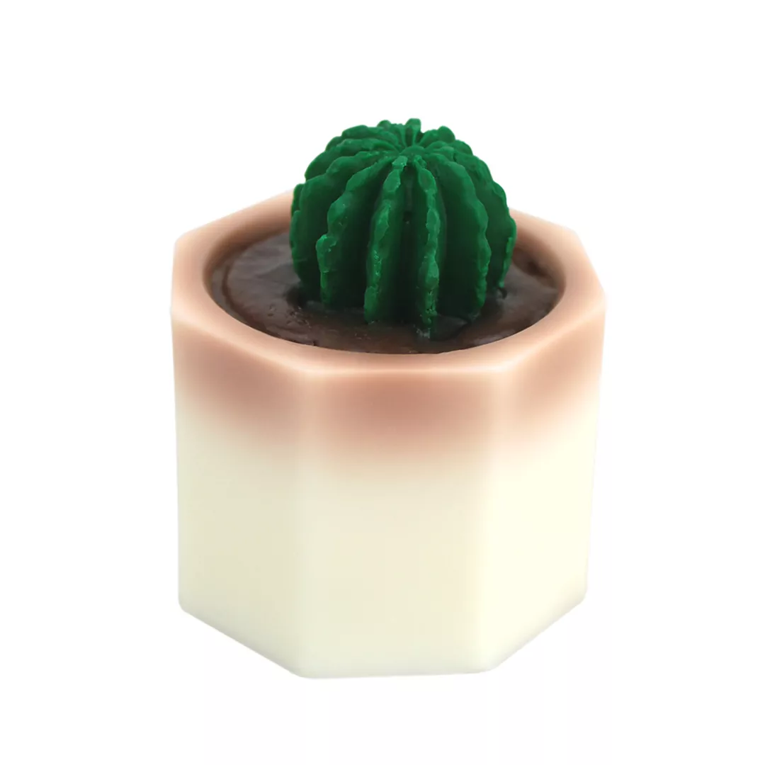 Cactus Plant Soap | LS Divine | lsdivine | La Savonnerie Divine