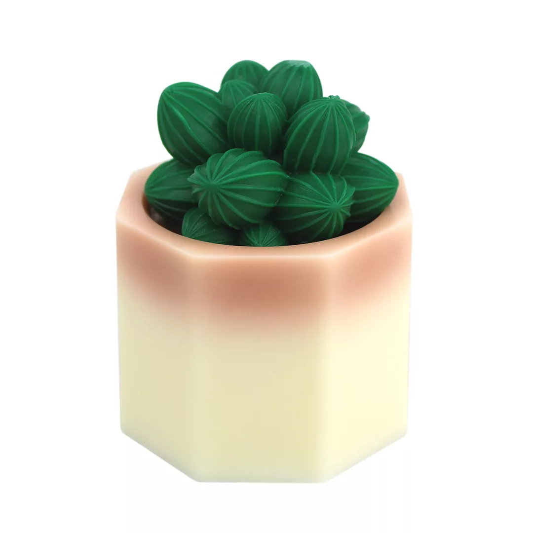 Succulent Plant Soap | LS Divine | lsdivine | La Savonnerie Divine