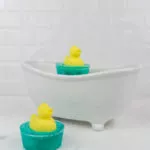 ducks social media